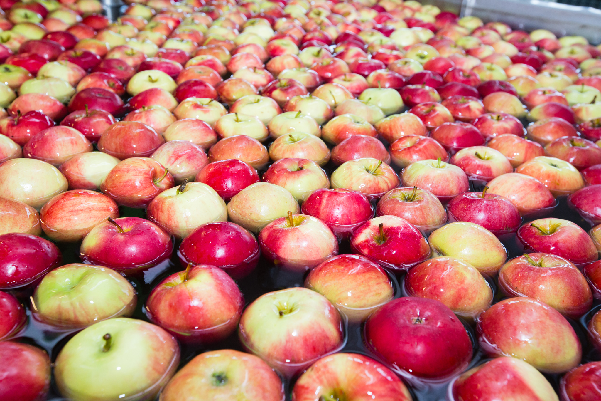 Smaczne,  bo z Grójca :-)